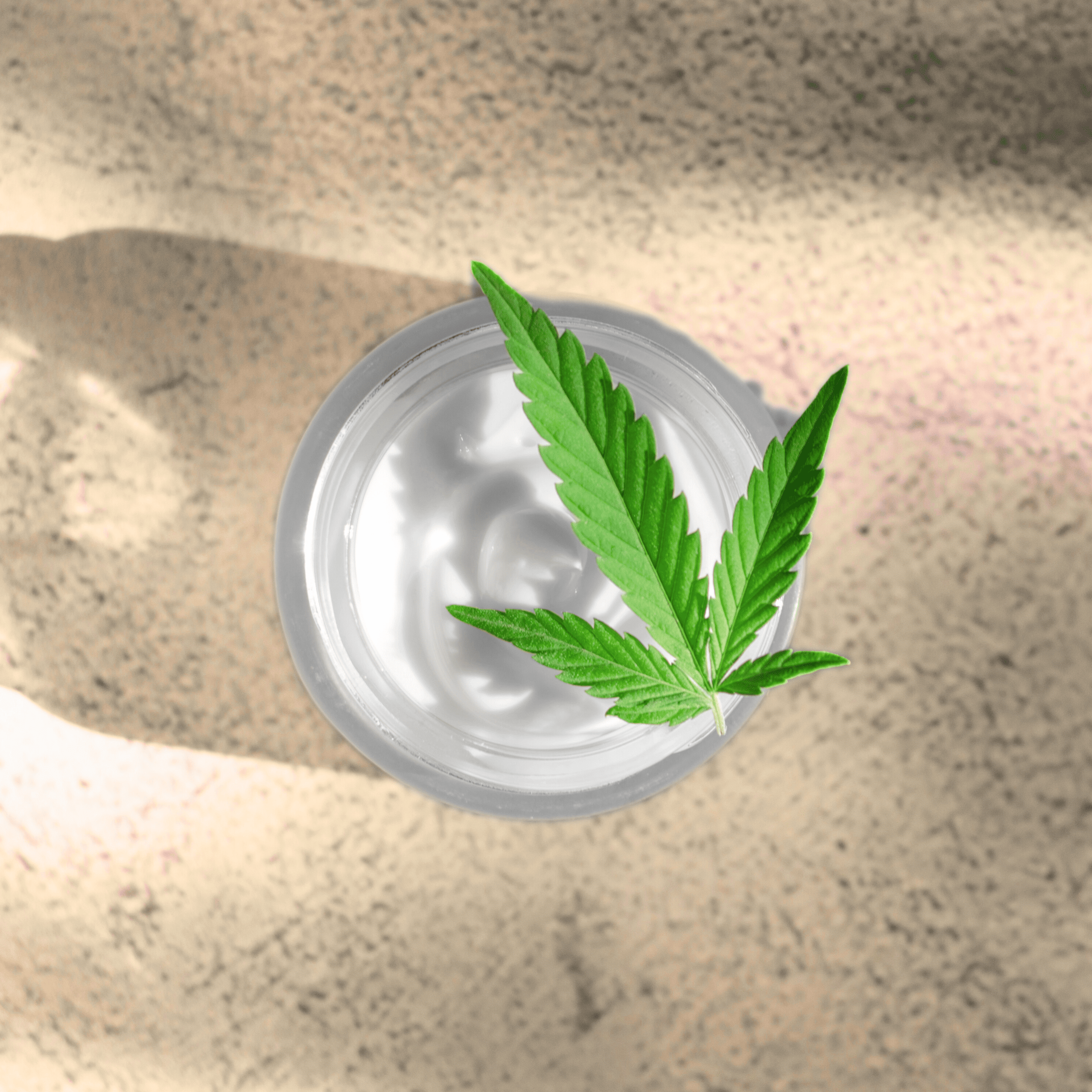 CBD Hautpflege-Creme mit Hanfblatt Vollextrakt CBD Hautpflege-Creme mit Hanfblatt Vollextrakt